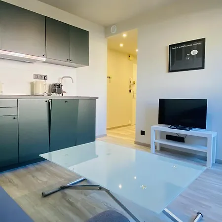 La Cerisaie Apartamento Rodez